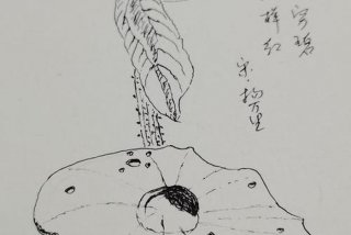 国画基础入门教学 国画基础入门教学钢笔