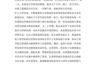 大学生个人学期总结、大学生个人学期总结500字大一