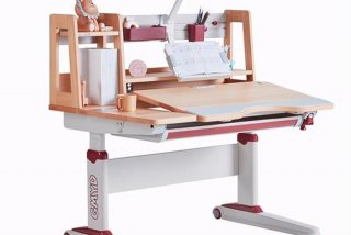 光明园迪学习桌加盟（光明园迪的书桌怎么样）