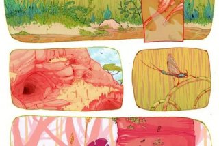 视觉型学生的特点；视觉型的学生乐于动手操作解决问题