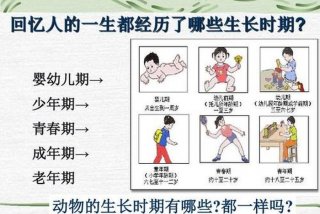 先天性和后天学习行为区别；先天性跟后天性的意思