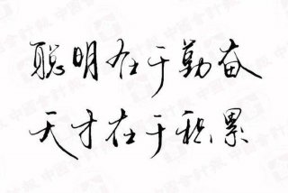 学习没有捷径勤奋努力是唯一出路