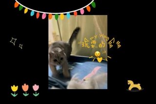 多多学习视频 多多学堂