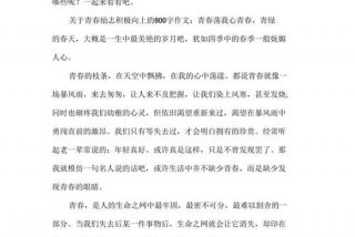 文学稿800字、文学稿800字积极向上的作文