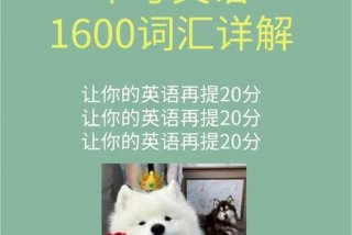 英语学习视频初中、初中英语视频讲解