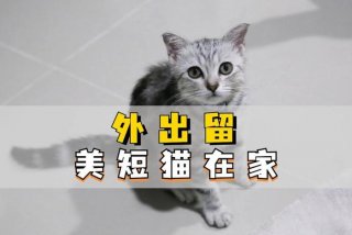 外出学习心得体会ppt模板、外出心得体会范文