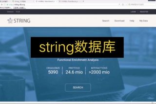 学习数据库网站，数据库网站有哪些