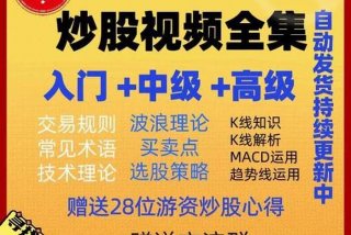 新手如何自学炒股、初学者怎么学炒股