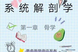 解剖学基础网络课程免费 - 解剖学基础网络课程免费第一章