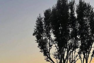 壁纸图片高级感、微信聊天壁纸图片高级感