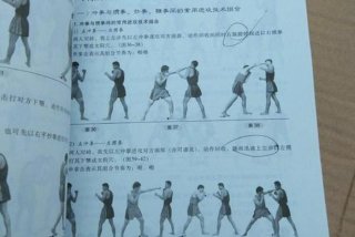 散打学习基础教程（散打入门基本教学视频）