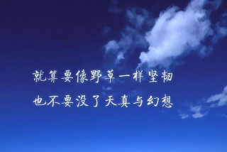 在学习中成长（感悟人生的句子 经典）