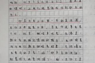 学校组织的活动作文；学校组织的活动作文600