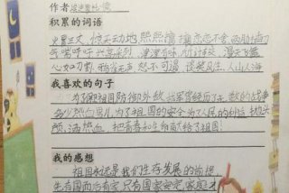 小学生学习历程感悟经典句子；小学历程和感悟