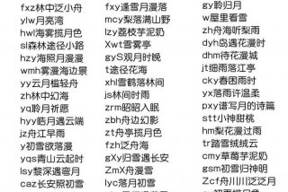 学习技术的网名，关于技术型的网名