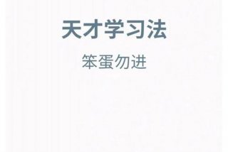 天才学习秘诀；天才学数学是怎么样的