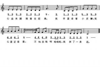 学简谱的软件免费下载 免费学简谱视频教程全集