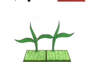 兴趣学习汉字、趣味学汉字