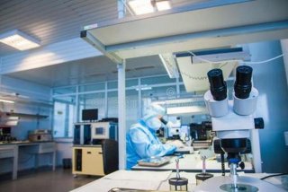 研究性学习模板；研究性学习报告范文