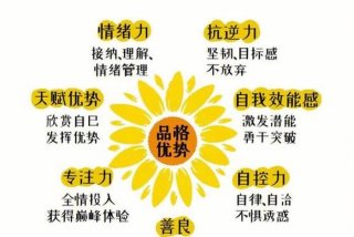 幼儿学习品质（幼儿品质的培养有哪些）