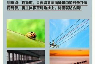 自学摄影从哪里入手（摄影入门基础知识）