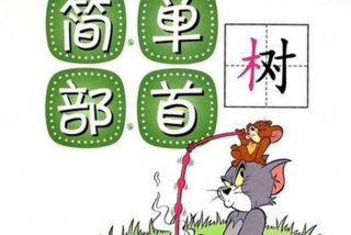 简单学习网下载的视频在哪里、简单学习网怎么样