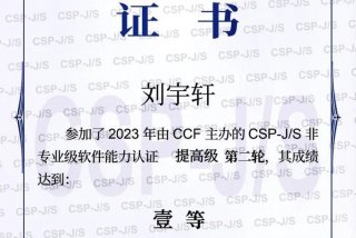 信息学竞赛考什么 - 信息学竞赛考什么语言