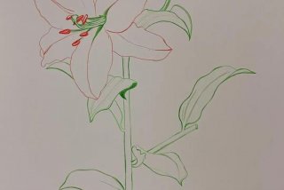 如何学习手绘零基础；学手绘教程