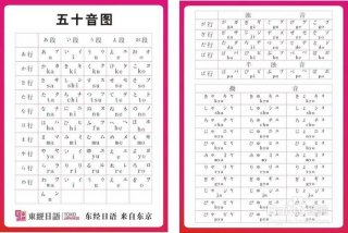 日语初级入门视频教程，日语初步入门视频