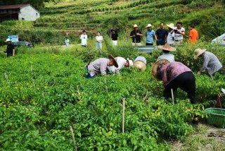 学农业出来干什么工作（学农业出来干什么工作比较好）
