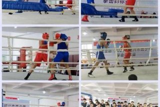 拳击学校简介，拳击学校简介怎么写