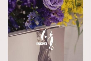 夏夜知道风的甜（夏夜知道风的甜短剧免费观看）