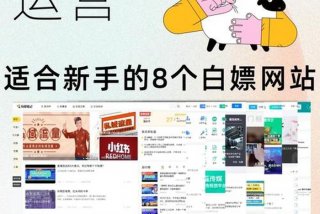 网站学习资料、网站入门知识