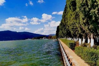 澄江附近的花艺学习 澄江艺术培训学校