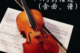 小提琴入门学什么，小提琴自学入门课程
