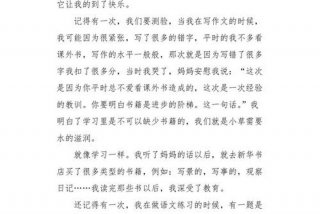 学习启示作文400字 学什么的启示作文300
