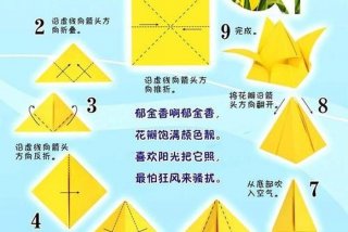花样折纸教程，花样折纸教程简单易学