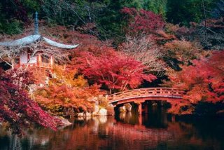 日本学习压力大吗 - 日本留学压力