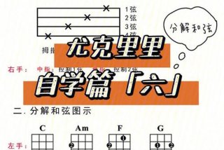 尤克里里入门教学、尤克里里入门教学王老师