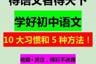 小学语文怎么学才能学好，小学语文怎么学才能学好英语