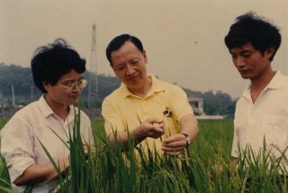 学习卢永根先进事迹申论；卢永根事迹申论作文