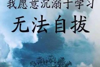 知乎学渣只想学习（学渣不能死能赚钱吗）
