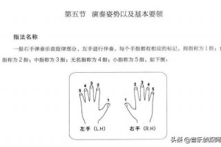 学习琴的基础知识 学琴的基础是什么