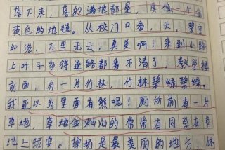 描写学校景色的作文 描写学校景色的作文三年级