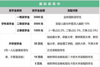 国际学习班报名（国际班学费多少哪种好）