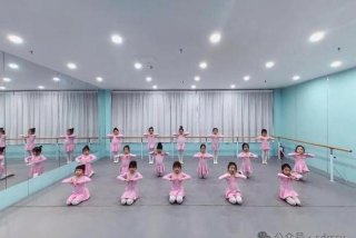 舞蹈学习视频小孩跳的（播放小孩儿跳的舞蹈教程）