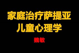 家庭心理学（萨提亚家庭心理学）