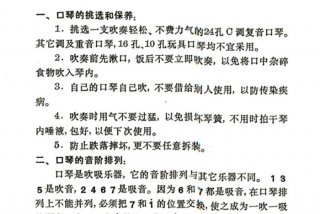 口琴教学视频 口琴教学视频入门教程