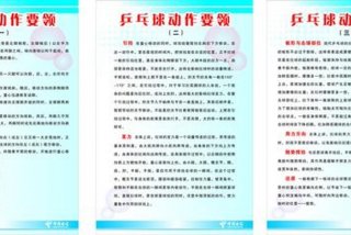 学习乒乓球的基本动作 - 乒乓球基础动作要领