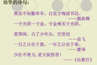 努力学习诗句；背诵古诗